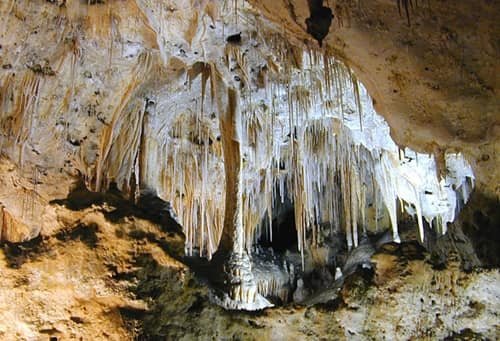 Carlsbad Caverns National Park, New Mexico: Map, Location, Ticket Price, Facts & History
