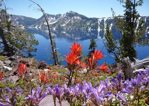 Crater Lake National Park, Oregon: Map, Location, Ticket Price, Facts & History