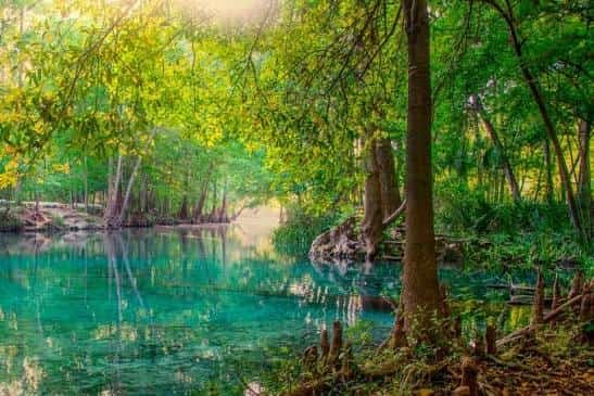 Everglades National Park, Florida: Map, Location, Ticket Price, Facts & History