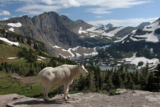 Glacier National Park, Montana: Map, Location, Ticket Price, Facts & History