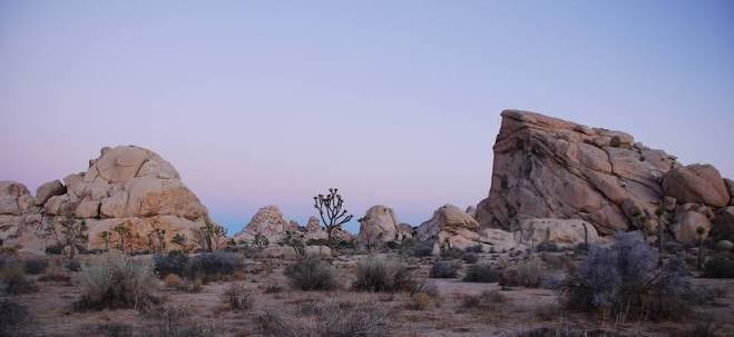 Joshua Tree National Park, California: Map, Location, Ticket Price, Facts & History