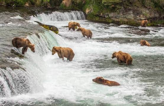 Katmai National Park, Alaska
