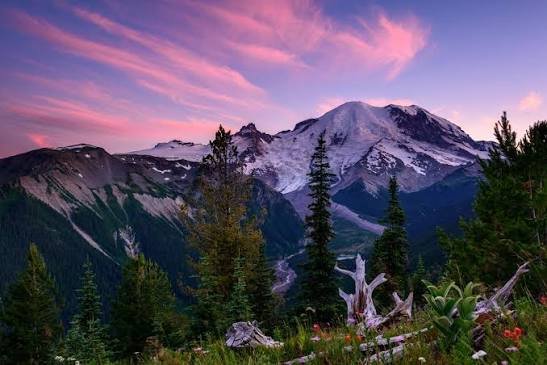 Mount Rainier National Park, Washington: Map, Location, Ticket Price, Facts & History