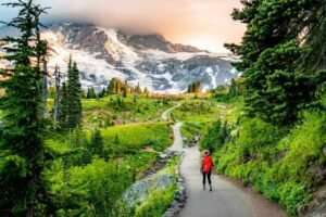 National Parks Near Seattle: Locations, Ticket Prices, Facts & History