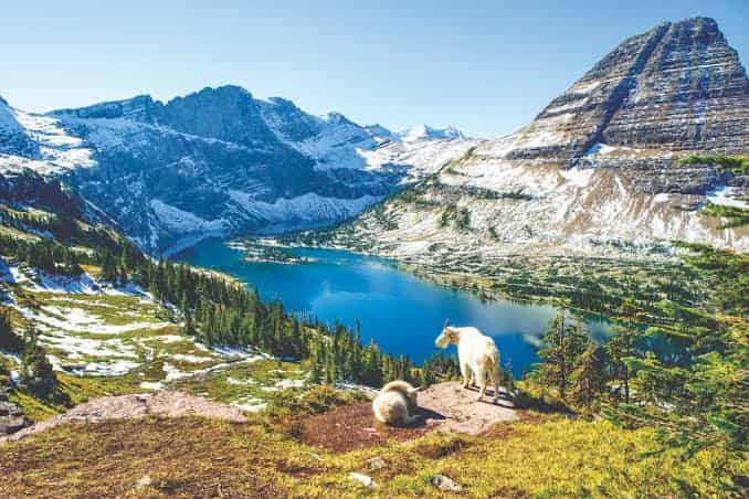 National Parks in Montana: Locations, Ticket Prices, Facts & History