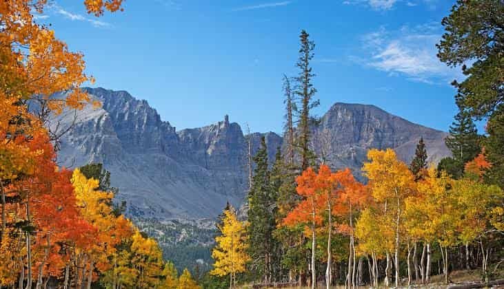 National Parks in Nevada: Locations, Ticket Prices, Facts & History