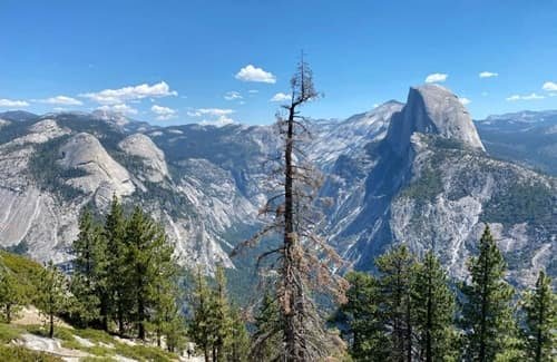 National Parks in Northern California: Locations, Ticket Prices, Facts & History