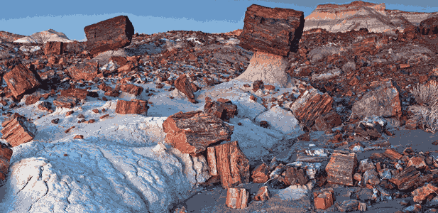Petrified Forest National Park, Arizona: Map, Location, Ticket Price, Facts & History